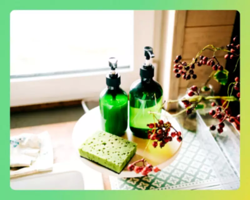 Sustainable Subscriptions: Readers Share Their Top Picks for Greener Living