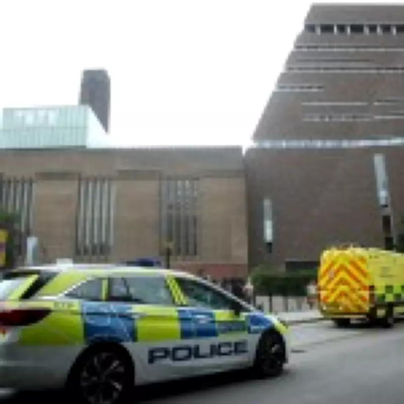 Tate Modern Attack Victim's Family Reports 'Sad Step Backwards' in Recovery