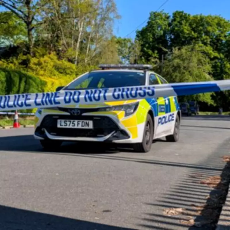 Teen Pleads Guilty to Synagogue Arson in North London Attack