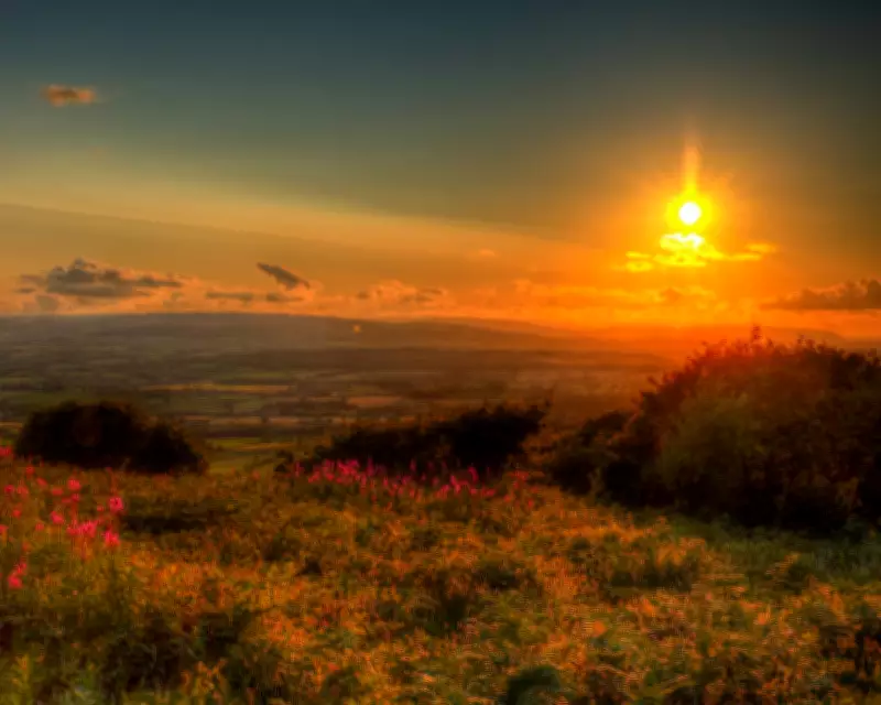 The Best Recent Poetry Collections: A Guardian Review Roundup