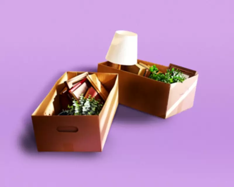 The Joy of Clutter: Why a Messy Home Reflects a Life Well Lived