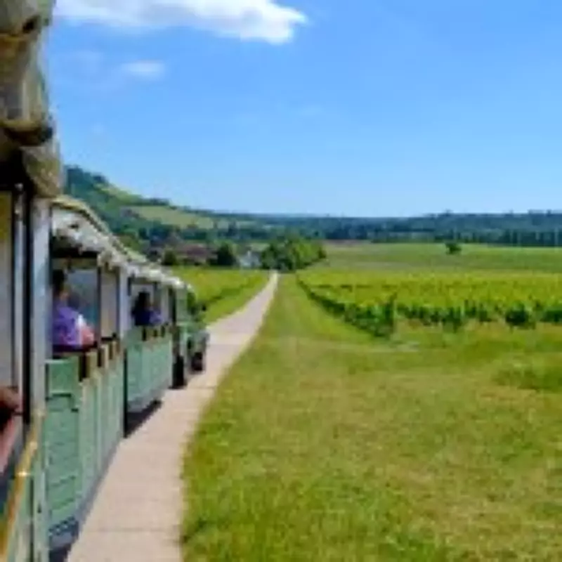 The Magnificent £12.50 Wine Train Near London Showcases English Vineyard Boom