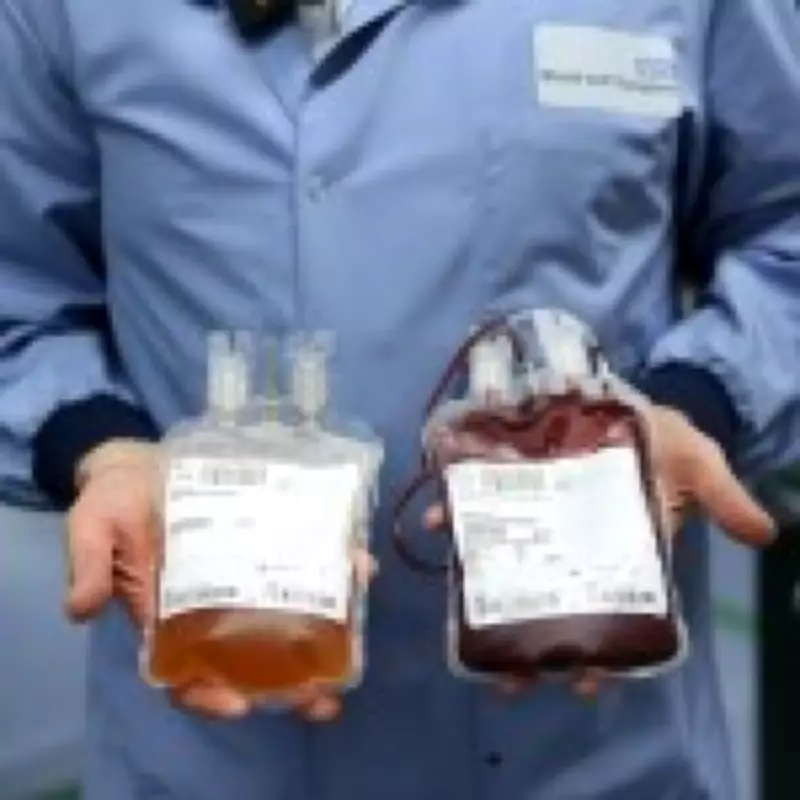 The Vital Journey of Donated Blood: From Arm to Life-Saving Medicine