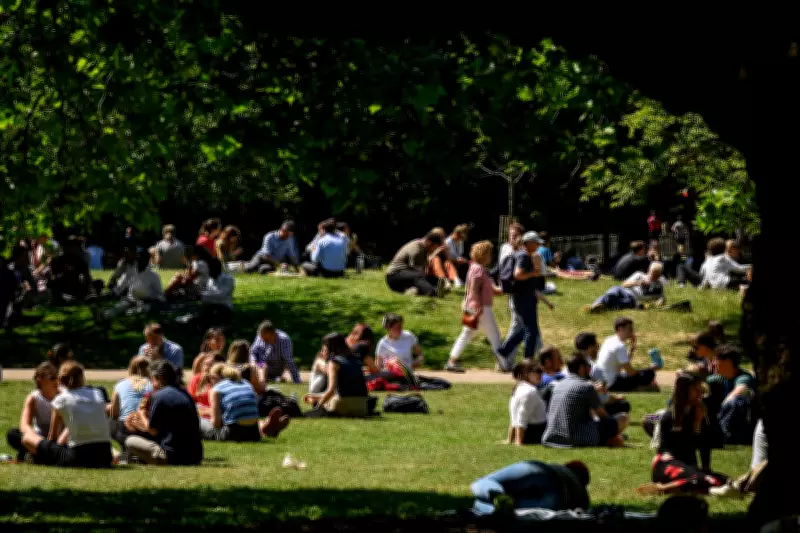 Top London Spots to Soak Up the Sun: Parks, Beer Gardens, and More