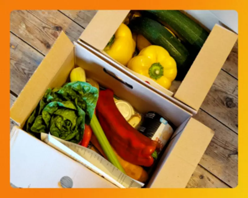 Top Recipe Boxes and Meal Kits for Busy Food Lovers in 2026