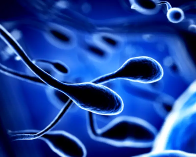 Toxins and Climate Change Synergistically Harm Fertility Across Species, Study Finds