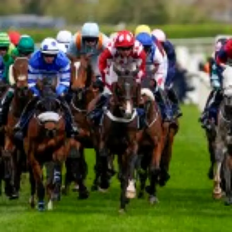 Tragedy at Aintree: Horse Get On George Euthanized After Grand National Injury