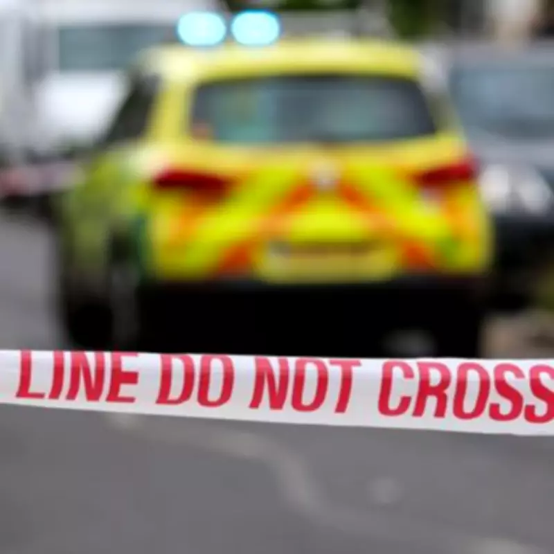 Tragic Dog Attack Claims Life of 19-Year-Old Woman in Essex, Police Arrest Man