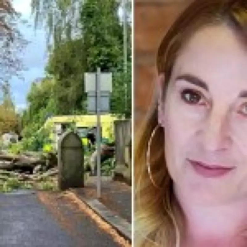 Tragic Tree Collapse Kills Woman on Evening Walk in Manchester