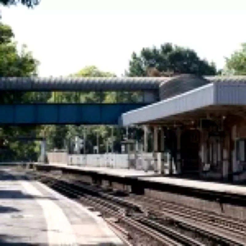 Trespasser Causes £1 Million Train Delays in South London Chase