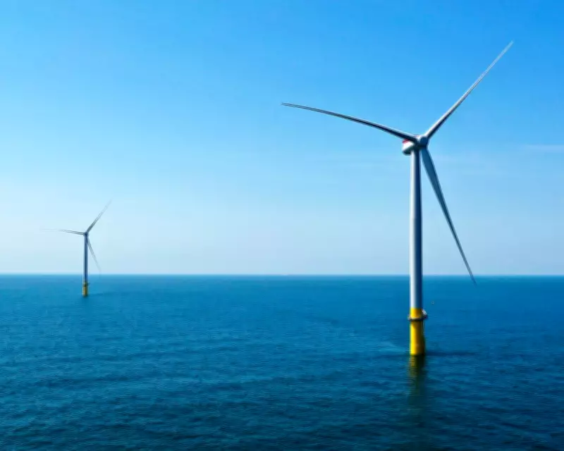 Trump Administration Blocks US Wind Projects, Pays Millions to Switch to Oil and Gas