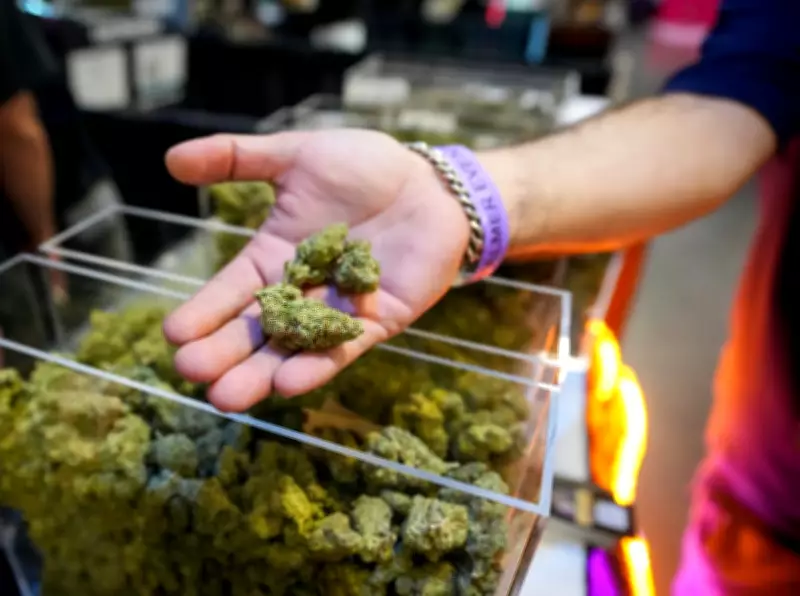 Trump Administration Reclassifies Marijuana to Lower Federal Tier