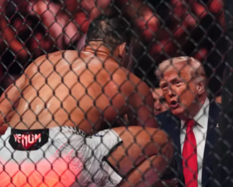 Trump Attends UFC Event Amid Failed Iran Peace Talks, Plans White House Fight