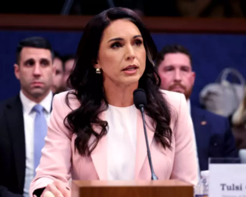 Trump Considers Replacing Intelligence Chief Tulsi Gabbard Over Iran Testimony
