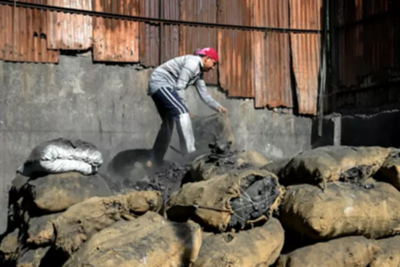 Trump's Iran Conflict Could Revive Global Coal Dependence Amid Energy Crisis