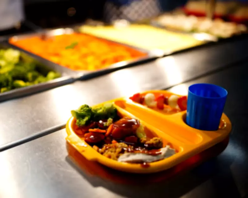 UK School Meal Proposals Spark Concerns Over Costs and Viability