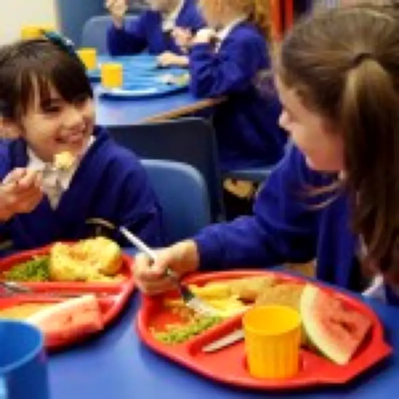 UK Schools Ban Deep-Fried Foods in Major Health Overhaul to Fight Child Obesity