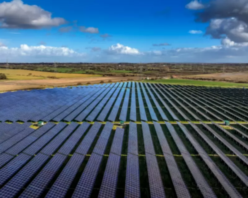 UK Solar Power Hits Record Highs as Government Approves Major Projects