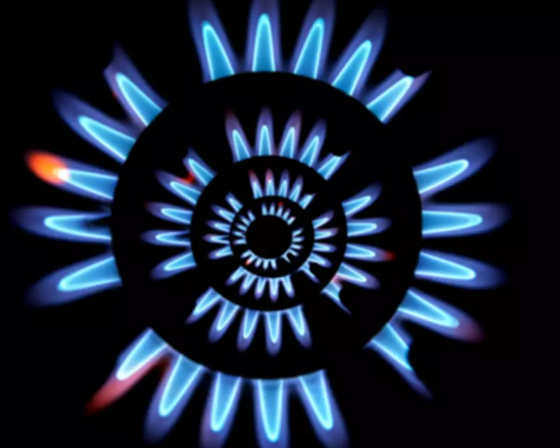 UK Urged to Prioritize Homegrown Renewable Biomethane Over Fossil Gas Imports