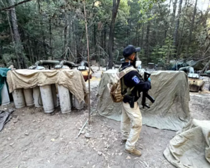 US and Mexican Officials Killed in Car Accident During Drug Lab Operation