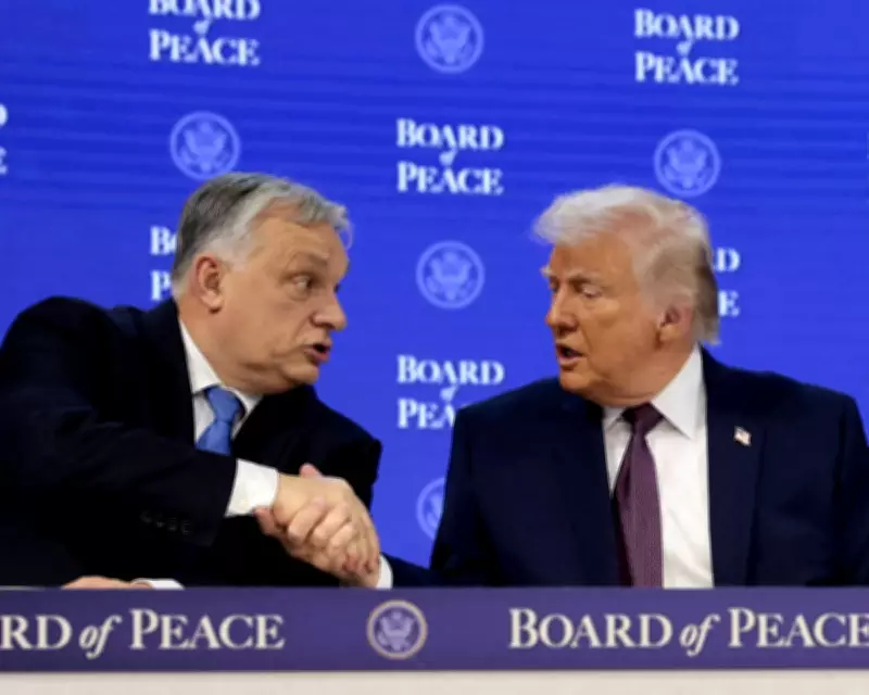US and Russia Back Orbán in Hungary Election, Raising Influence Questions