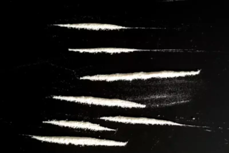 US Cocaine Use Plummets as Gen Z Shifts to Psychedelics and Ketamine