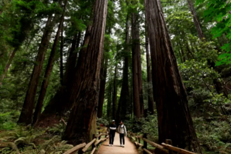 US Forest Service Headquarters Relocates from DC to Salt Lake City