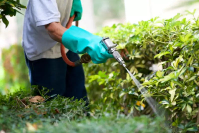 US Supreme Court to Hear Roundup Case That Could Weaken Consumer Lawsuits