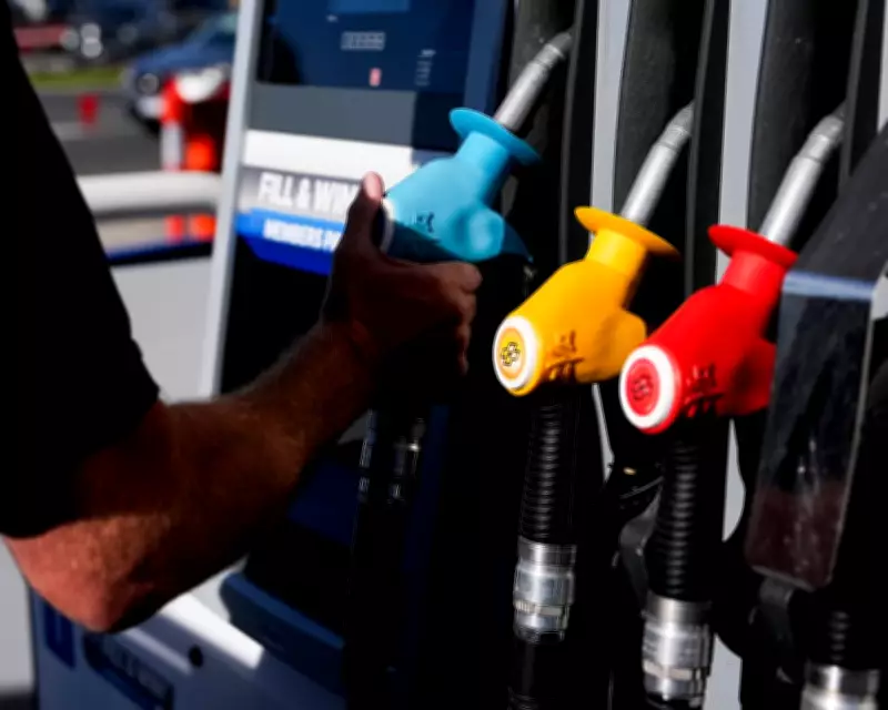 Vibecession Hits Australia: Gloomy Economy Sentiment vs. Expert Optimism