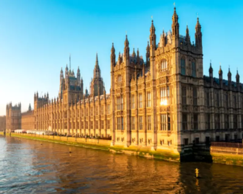 Victims of Sexual Violence Distressed by MPs' 'Pugnacious' Questioning in Parliament