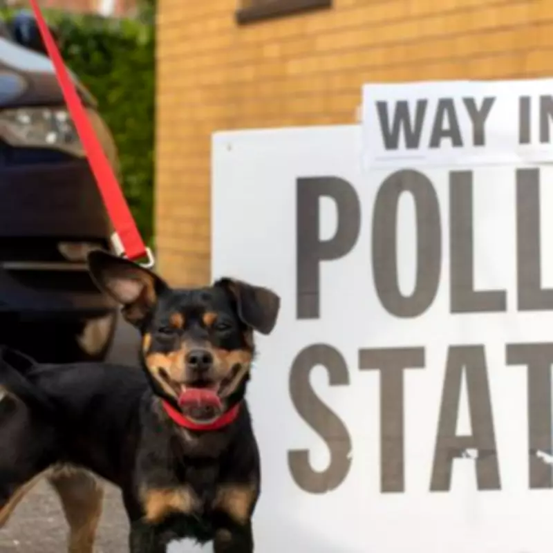 Voter Registration Deadline for May Elections: Check Your Status Now