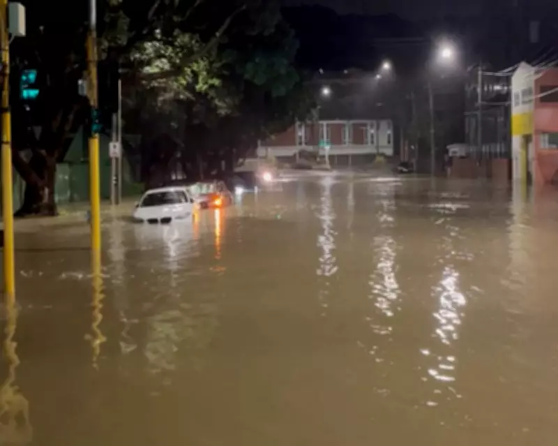 Wellington Flood Victim Found as City Recovers from Record Deluge