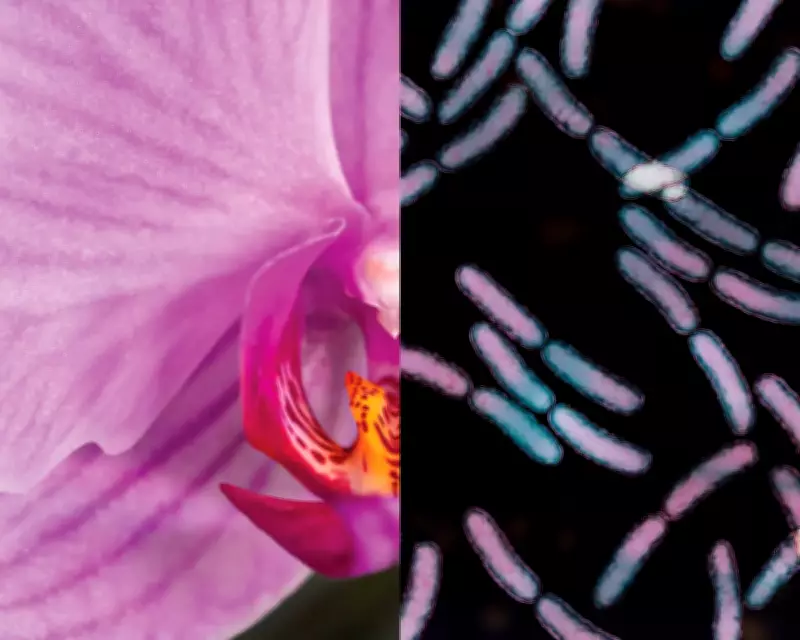 Wellness Culture Sells Vaginal Products You Don't Need