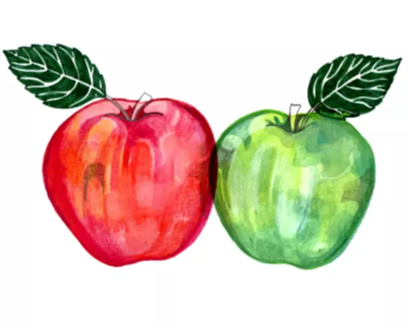 Why Are Red Apples Sweet and Green Apples Sour? Kids' Quiz Fun