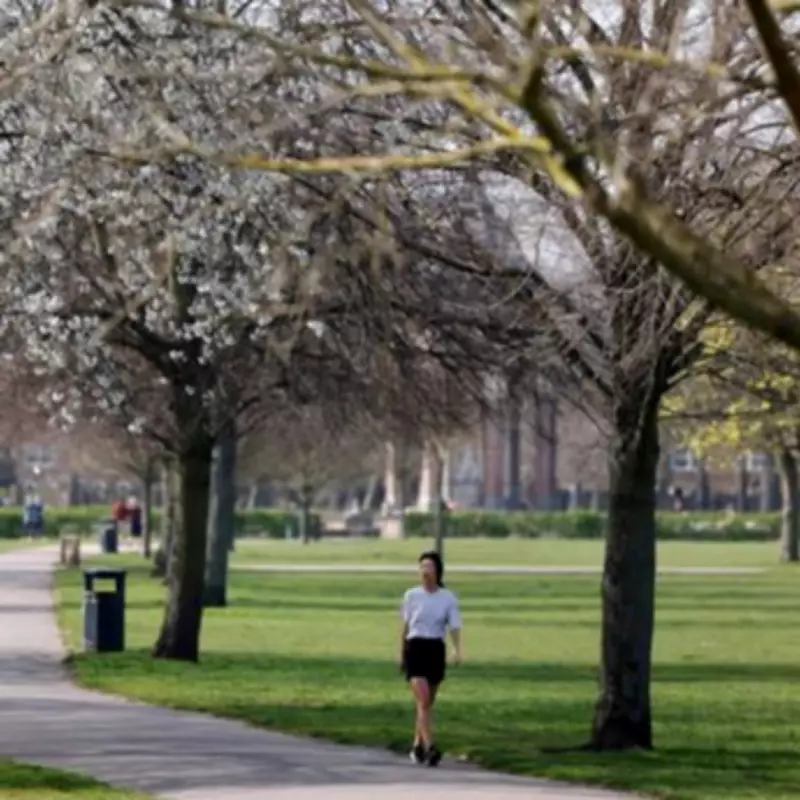 Why Hay Fever Is More Severe in London: Pollution Supercharges Pollen