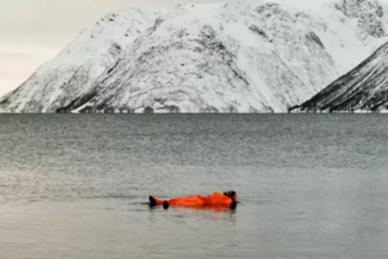 Why the Norwegian Arctic Is the Ultimate Northern Lights Destination in 2026