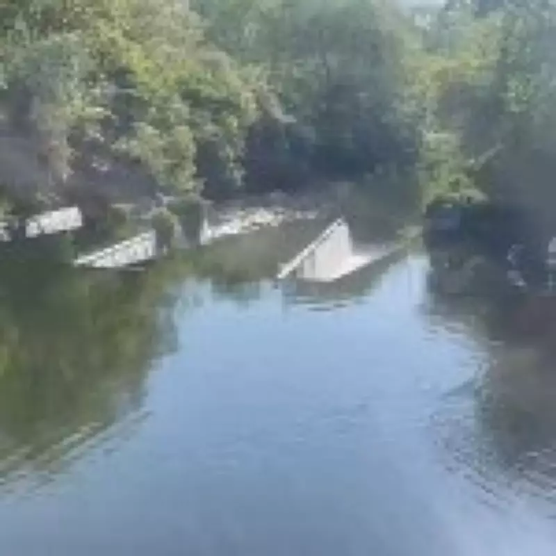 Witness Recalls Distressing Rescue of Mother and Son from River Brent