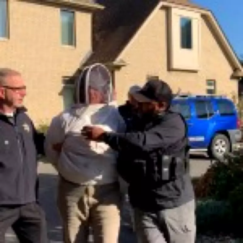 Woman Unleashes Bees on Police to Stop Eviction of Cancer Patient