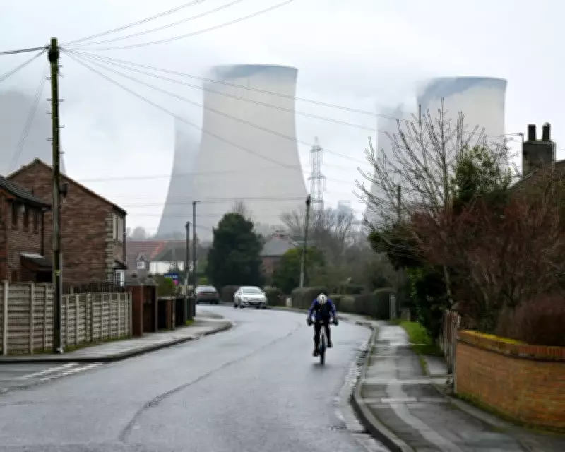 Wood-Burning Power Worse for Climate Than Gas, New Study Reveals