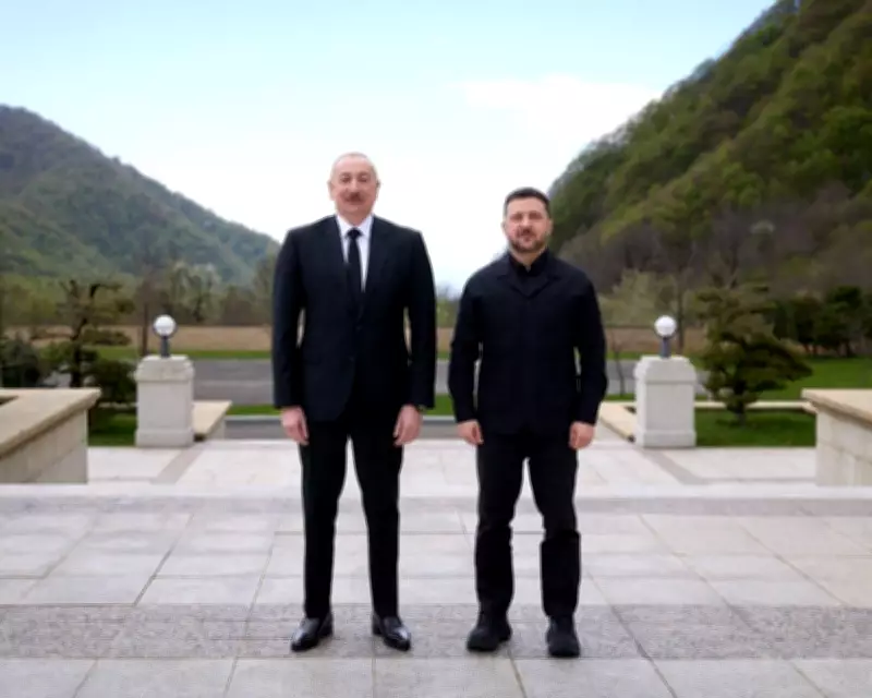 Zelenskyy Signs Security, Energy Deals with Azerbaijan as Russian Attacks Kill 10