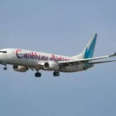 Baby Born Mid-Flight Sparks US Citizenship Debate Over Airspace Rules