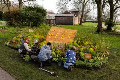 Bee Expert Reveals How to Transform Your Garden into a Pollinator Paradise