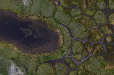 Brits Worry About Climate Crisis But Struggle to Act: James Reed