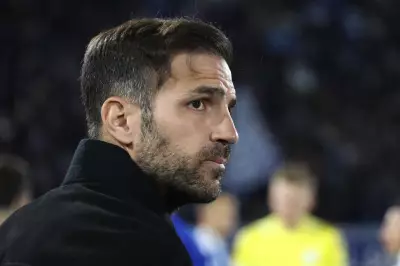 Como President Says Fabregas Free to Leave for Chelsea Manager Job