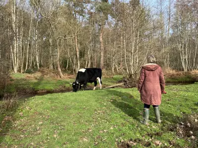 Country Diary: Conservation Grazing and Memories in Woolton Hill