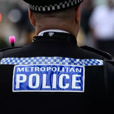 Enfield Man Charged with 13 Counterfeit Guns and 8 Injured Dogs