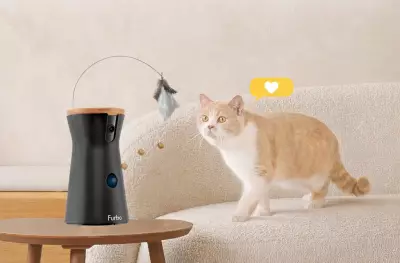Furbo's £32 Smart Pet Camera Tosses Treats and Tracks Health Remotely