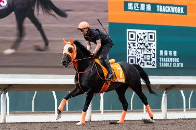 Jantar Mantar Aims for FWD Champions Mile Glory in Hong Kong