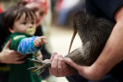 Kiwi Enter New Zealand Parliament for First Time in History