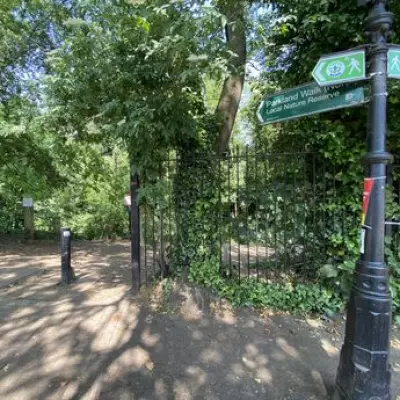 London's Parkland Walk: A Nature Reserve Escape in the City